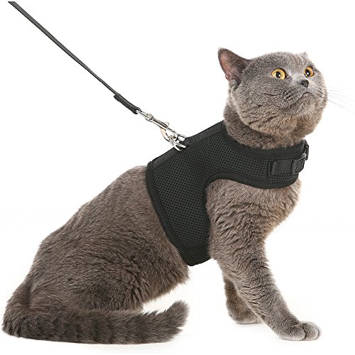 Escape Proof Cat Harness with Leash - Holster Style Adjustable Soft Mesh - Best for Walking Black Medium