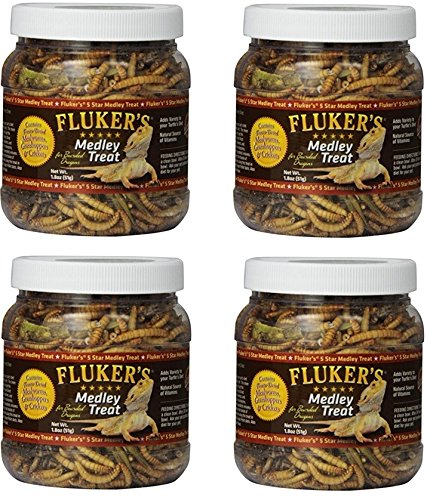 Fluker Labs Bearded Dragon Medley Treat Food  1 8-ounce (Pack of 4)