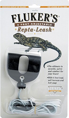 Fluker's Repta Leash for Reptile  Medium