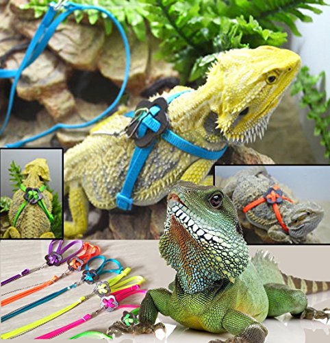 JASSINS Adjustable Reptile Lizard Harness Leash Adjustable Multicolor Light Soft Fashion