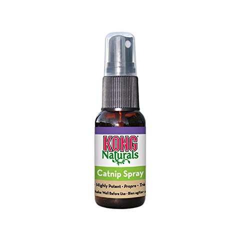 KONG Naturals Catnip Spray for Cats  1-Fluid Ounces
