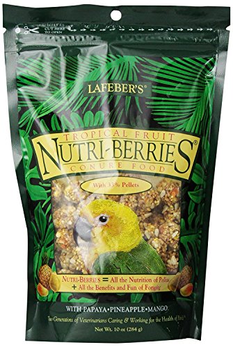 Lafeber's Gourmet Tropical Fruit Nutri-Berries for Conures 10-Ounce Bag