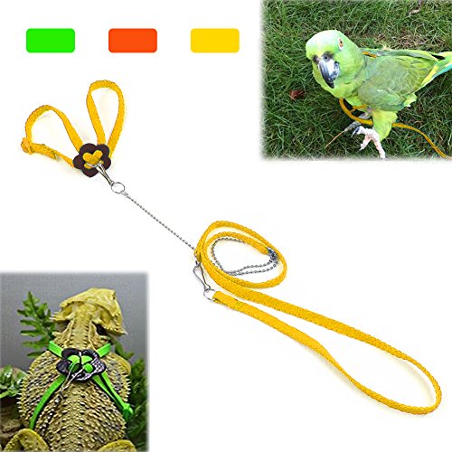 Mokook Bird Harness and Leash for Parrot African Grey Cockatoo Macaw Ringneck Parakeet Cockatiel  Adjustable and Bite Resistant Design