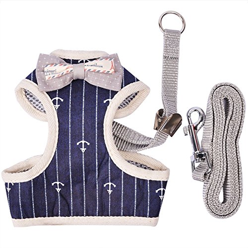 MyfatBOSS Cat Leash  Cat Harness and Leash  Adjustable Pet Mesh Vest Leashes for Small Large Cats Walking Escape Proof (S)