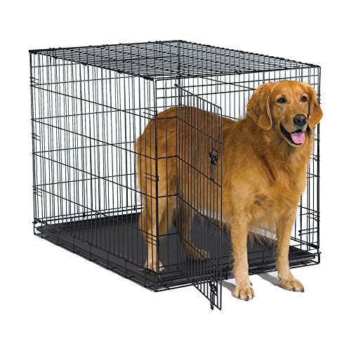 New World 42  Folding Metal Dog Crate  Includes Leak-Proof Plastic Tray  Dog Crate Measures 42L x 30W x 28H Inches  Fits Large Dog Breeds
