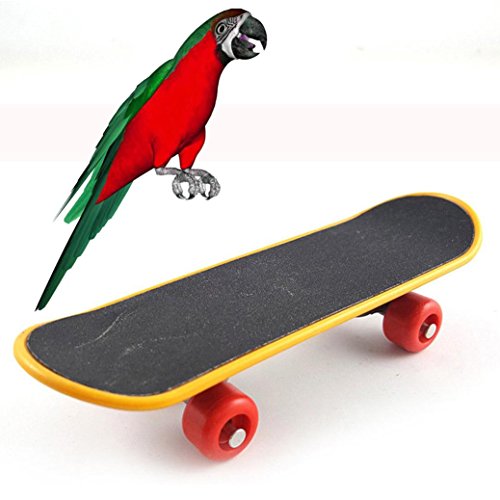 NewKelly Bird Parrot Intelligence Toys Mini Training Skateboard For Budgies Parakeet