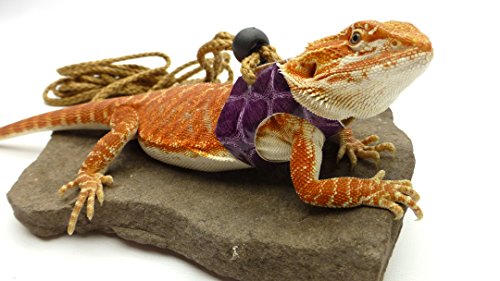 Ogle Lizard Leash  Limited Edition Purple Scales (medium size)