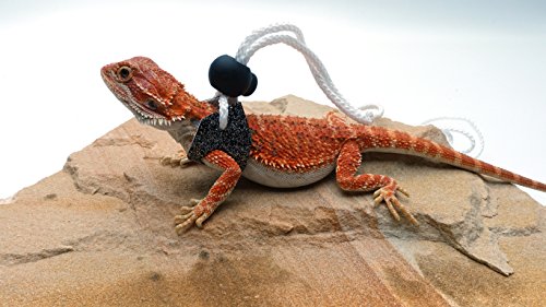 Ogle Lizard Leash  Limited Edition Sparkly Charcoal (small size)