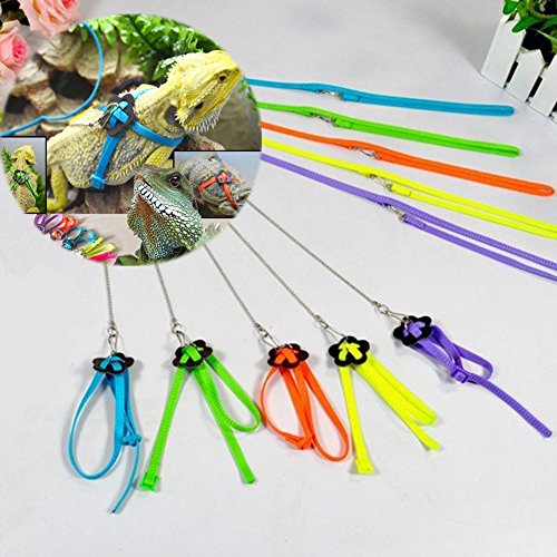Parrot Bird Adjustable Harness Leash Anti-bite Soft Light Soft Fashion African Grey Cockatoo Macaw Ringneck Parakeet Reptile Lizard Soft Outdoor Free Lovebird Supplies (Color Random)