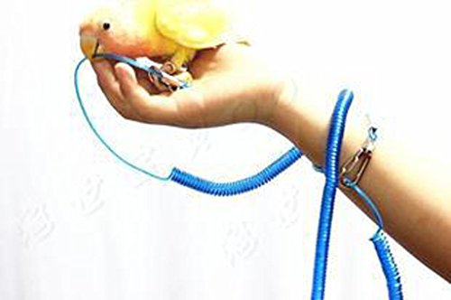 Parrot Bird Pet Leash Kit Anti-bite outdoor Flying Training Rope (Random Color)