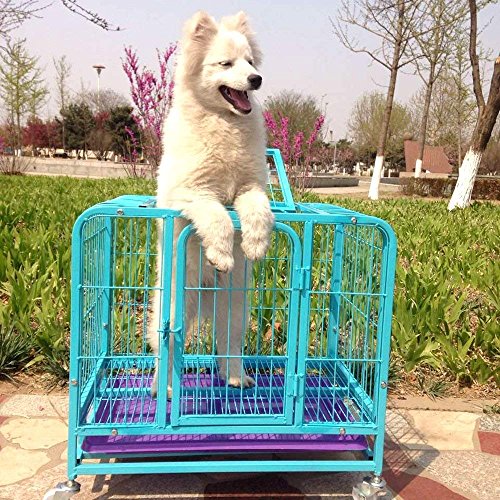 Paw Essentials 24in Heavy Duty Pet Cage Dog Kennel Crate w One Door and One Top Entry Door - (Blue) Size  24 x 17 x 22