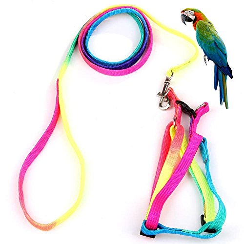 Pet Bird Harness and Leash with Buckle Adorable Rainbow Design Safe Parrot Leash Pet Harness Outdoor Adjustable Anti Bite Training Rope for Macaw Large Size Bird (1cm × 47 24in)