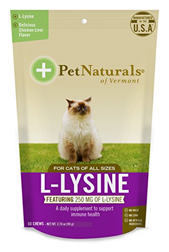 Pet Naturals L-Lysine Chews for Cats  Immune and Respiratory Support Supplement  60 Bite Sized Chews (3 74oz)