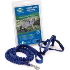 PetSafe Come With Me Kitty Harness and Bungee Cat Leash