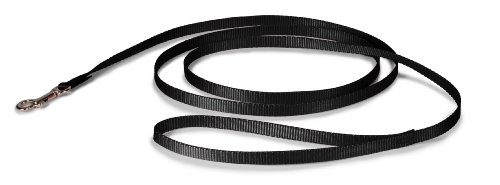 PetSafe Nylon Leash  3 8  x 6'  Black