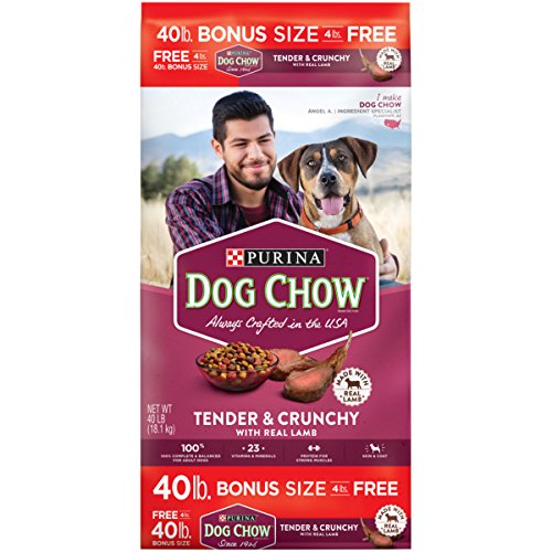 Purina Dog Chow Tender   Crunchy with Real Lamb Adult Dry Dog Food - 40 lb  Bag
