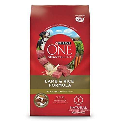 Purina ONE SmartBlend Natural Lamb   Rice Formula Adult Dry Dog Food - 31 1 lb  Bag