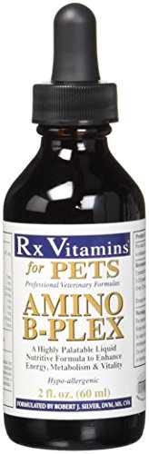 Rx Vitamins Amino B-Plex  2 fl  oz  One Size