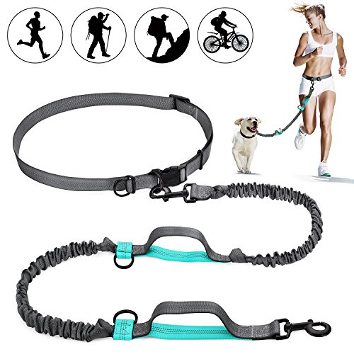 SHINE HAI Hands Free Waist Dog Leash with Dual Bungees  Free Control for Up to 150 lbs Dogs  Durable Dual-Handle Bungee Leash with Adjustable Waist Belt - for Running  Jogging or Walking