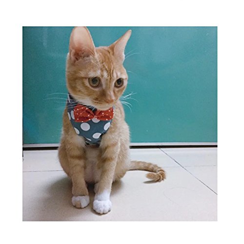 Stock Show Cat Dog Walking Jackets Cat Vest Harness and Matching Lead Leash Set with Cute Bowtie Detachable Leash Pet Reteo British Style Harness for Small Mediums Dogs Puppy Cats Kitten  Blue  S