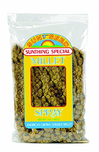 Sun Seed Company BSS10941 Small Bird Millet Spray Treats  4-Ounce