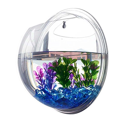 Surlan Hanging Fish Tank Bowl  Creative Acrylic Wall Mount Fish Tank Bowl Vase Aquarium Plant Pot Fish Bubble Aquarium Home Decoration Diameter 23cm 9inch