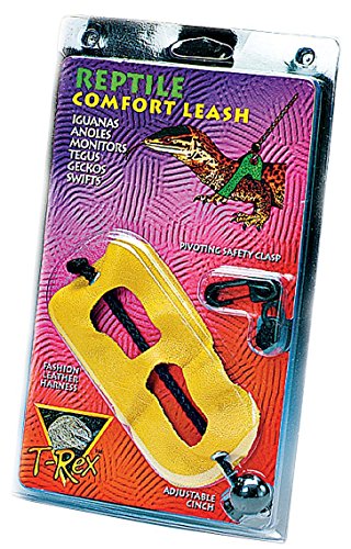 T-Rex Comfort Leash - Medium - Color May Vary