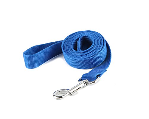 TAIDA Strong Durable Nylon Dog Training Leash  6 Feet Long  1 Inch Wide  for small and medium dog (Blue)