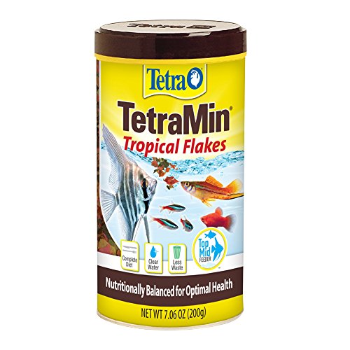 Tetra 16106 TetraMin Flakes 7 06-Ounce