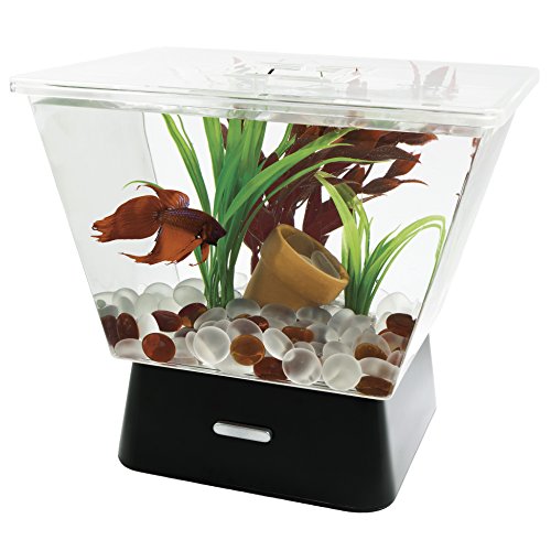 Tetra LED Betta Tank With Base Lighting  1-Gallon  7 25 x 9 5 x 8 5