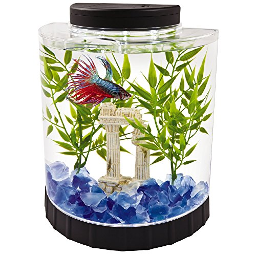 Tetra LED Half Moon Betta Aquarium  4 6 x 9 1 x 9 9 Inches