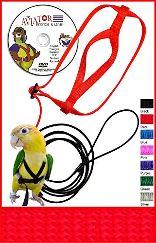 The AVIATOR Pet Bird Harness and Leash Petite Red