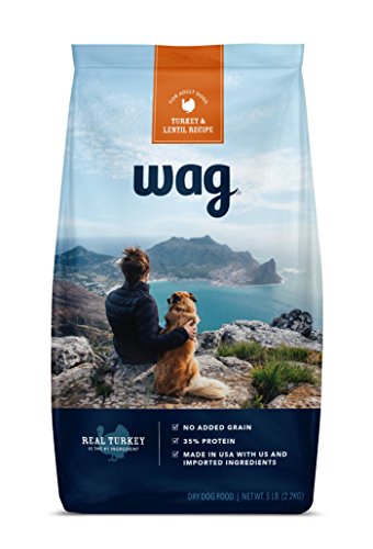 WAG Amazon Brand Dry Dog Food Trial-Size Bag  No Added Grain  Turkey   Lentil Recipe